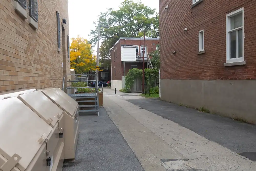 Ruelle